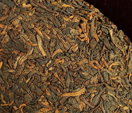 野尖黑茶是什么茶