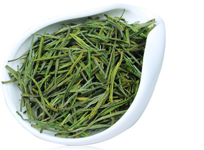 崂山绿茶属于什么茶