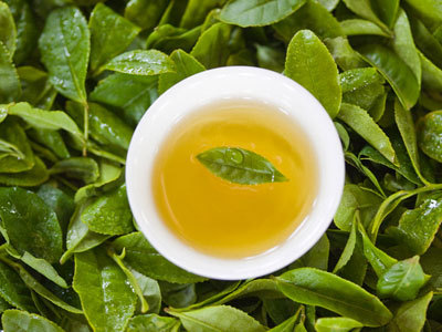 简单介绍崂山绿茶的历史