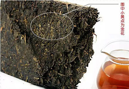 30年珍藏普洱茶砖