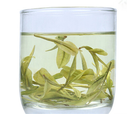 茉莉花茶属于绿茶么