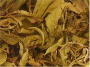 茉莉花茶的产地分布和主要种类