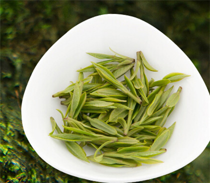 黄山毛峰属于绿茶吗