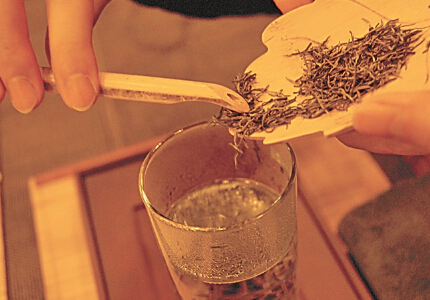 碧螺春的茶艺程序