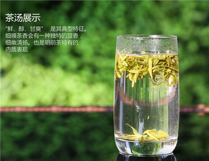竹叶青茶的包装设计