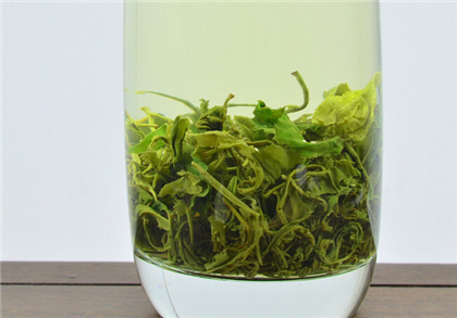 竹叶青茶是什么茶