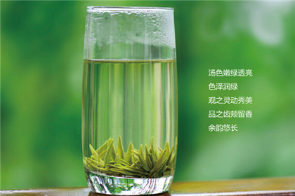 孕妇能喝竹叶青茶吗