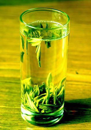 日照绿茶是什么