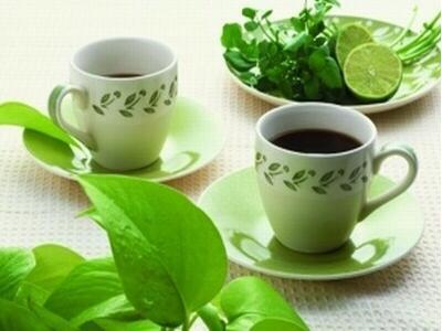 为什么做日照绿茶