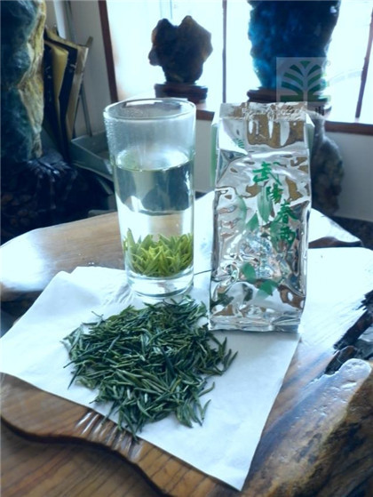 日照绿茶属于绿茶吗
