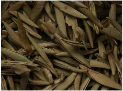 茶叶变质的环境条件和福鼎白茶储存