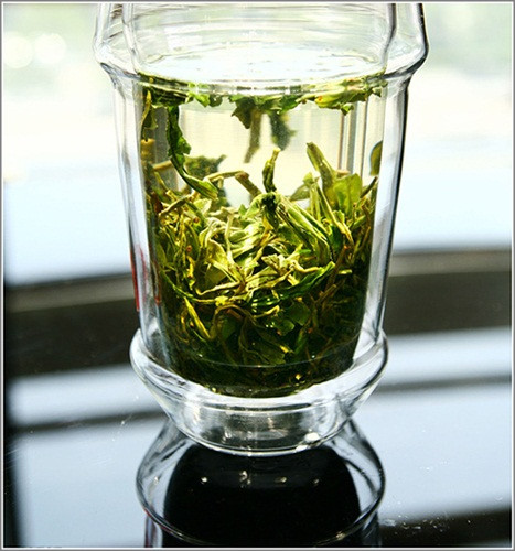 永川秀芽是绿茶吗