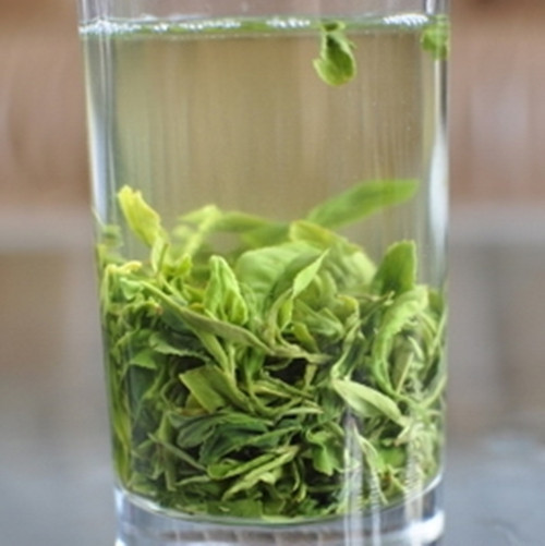 菊花茶的种类