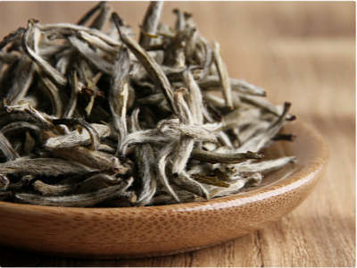 喝野菊花茶有危害吗？