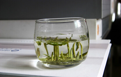 喝绿茶有益健康