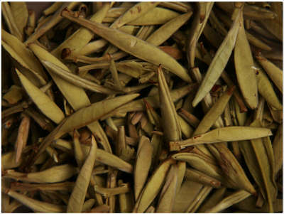 桂花茶的主要品种分布