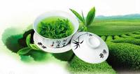 绿茶提取物茶多酚的保健功能