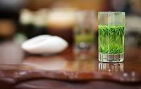 绿茶具有去腻防止脂肪积滞体内的作用