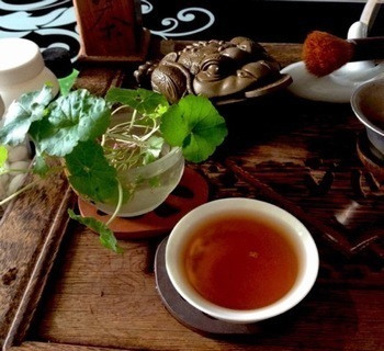 黄茶的保健作用是什么