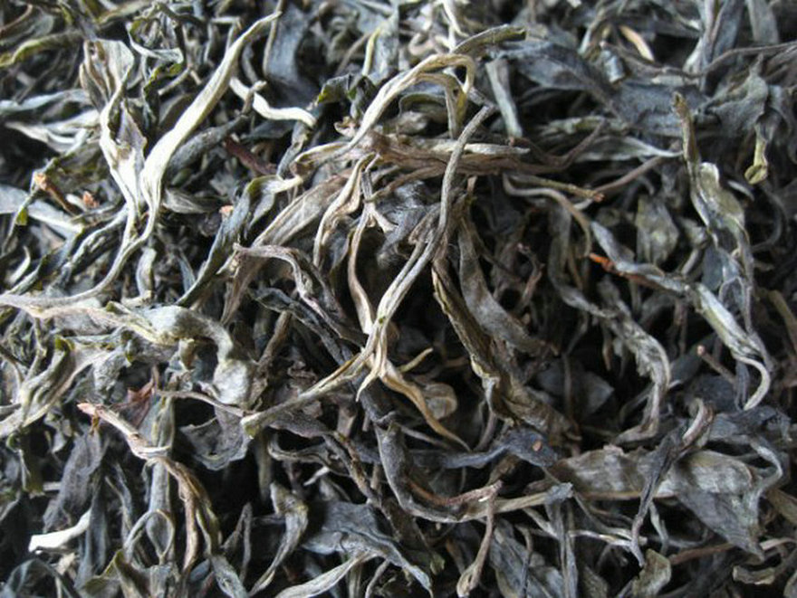 普洱茶防潮储存攻略，解决回南天茶叶霉变！