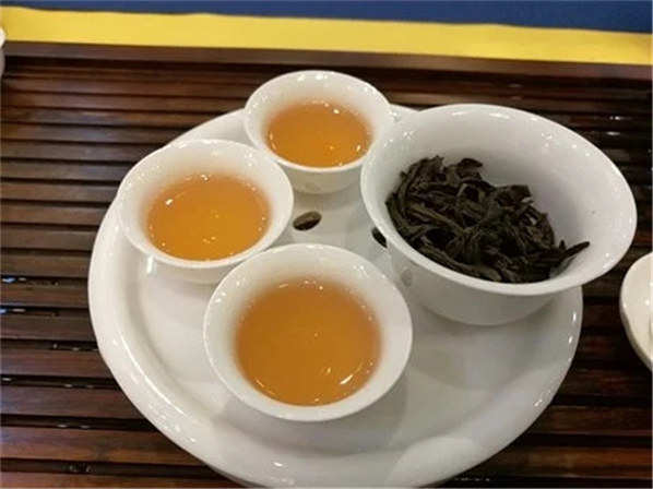 铁观音茶是不是属于红茶