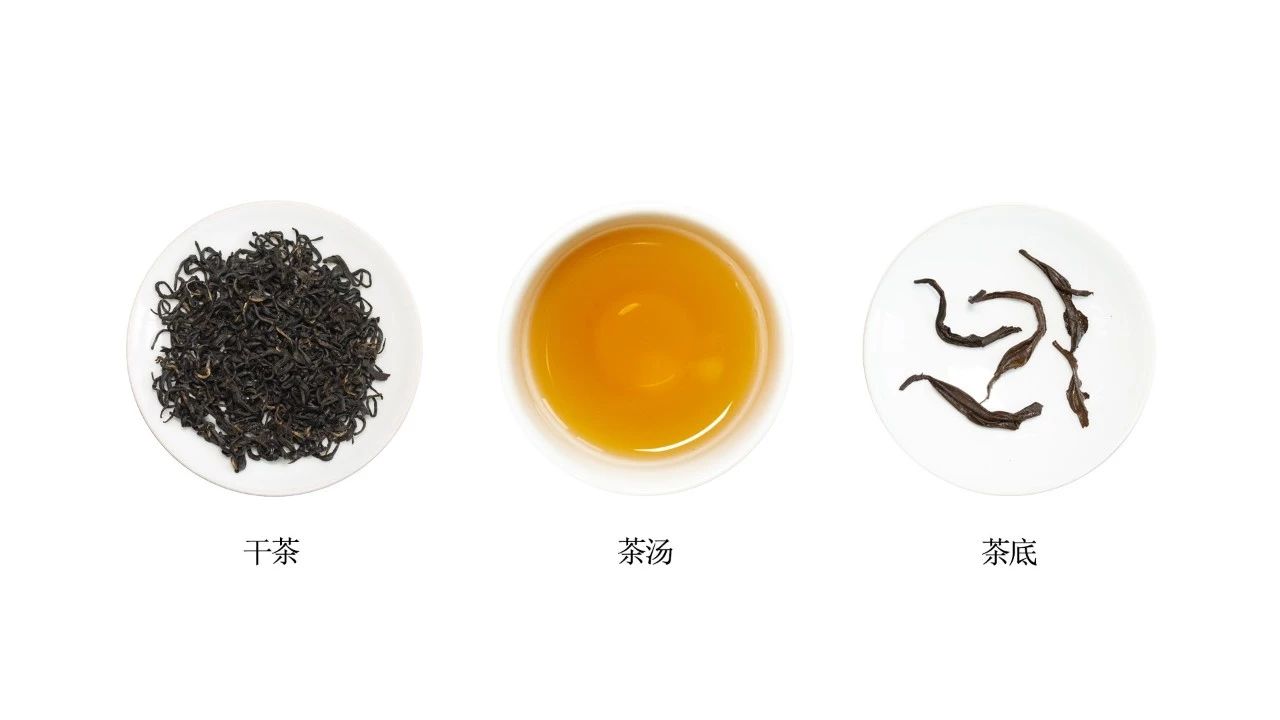习茶：祁门香螺是什么茶？有什么特征