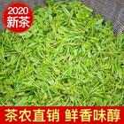 西湖龍井茶2020雨前龍井茶茶農直銷500g
