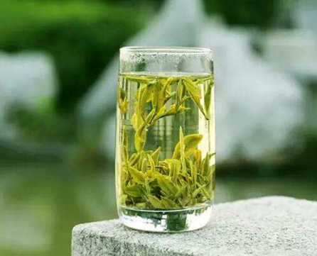 黄山毛峰是什么茶