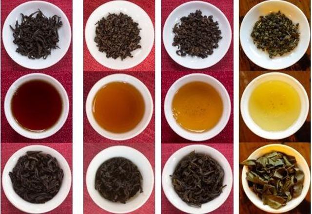 乌龙茶代表品种图片