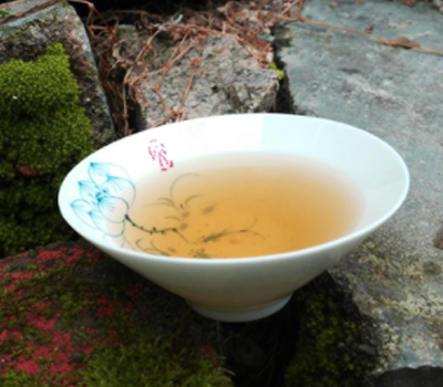 白芽奇兰是什么茶发酵
