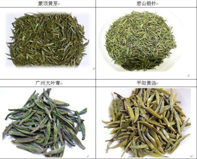 黄茶的品种有哪些