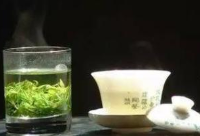 苦丁茶属于绿茶吗