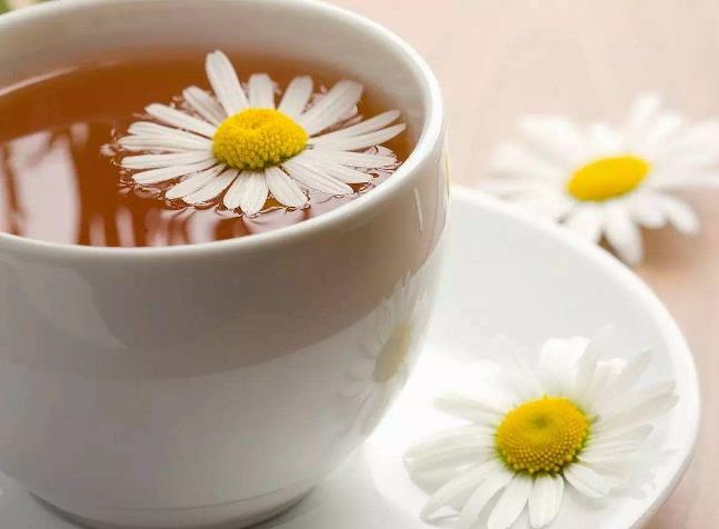 杭白菊花茶的功效有哪些菊花茶的种类 茶礼仪网