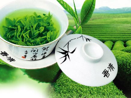 绿茶提取物的功效有哪些？