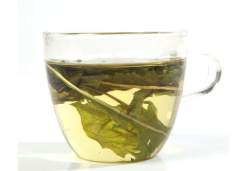 哺乳期能喝蒲公英茶吗？甲亢病患者喝有副作用吗？