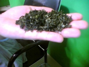 为什么庐山云雾茶的品质特优，庐山云雾茶的品质来自大自然