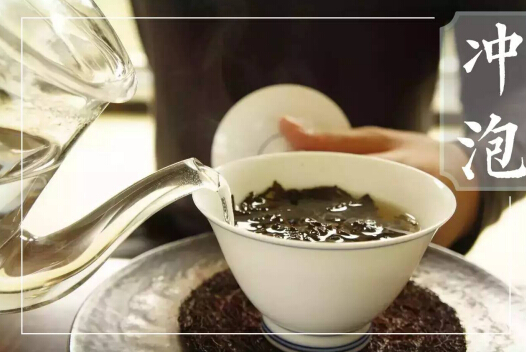 【四味居士·说六堡】怎么冲泡古法六堡茶祛湿效用最好？