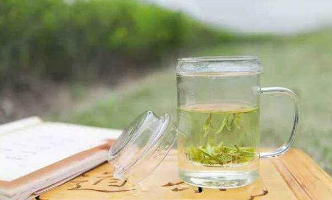 龙井茶是绿茶吗，龙井茶怎么泡才好