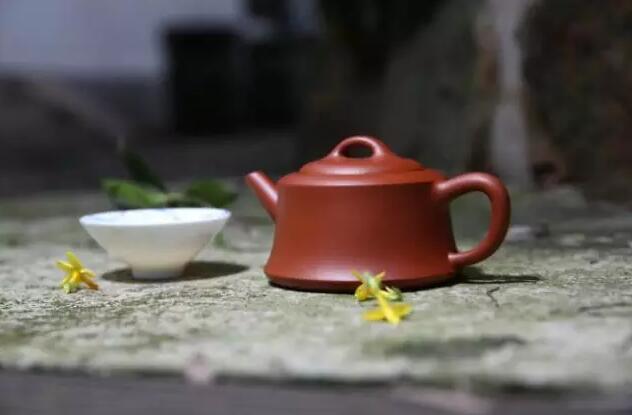 大红袍|你真的会喝“茶中之王”么？