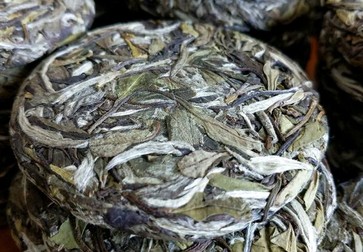 白茶，为什么被称为“万病之药”