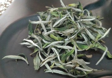 白茶与绿茶究竟有何区别？