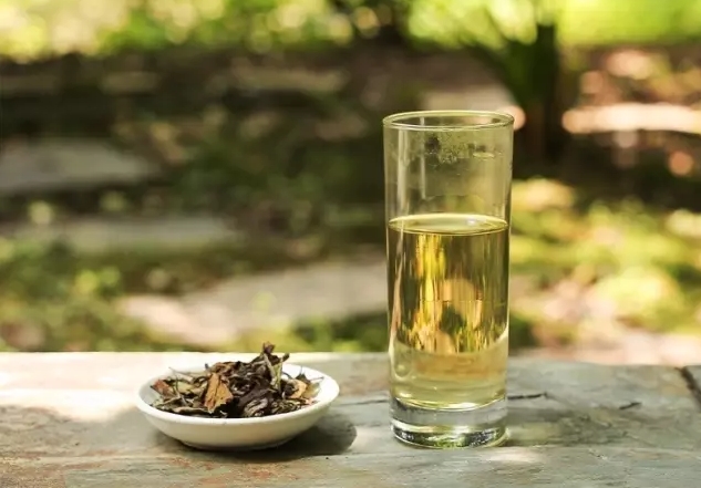 喝福鼎白茶可以预防感冒？