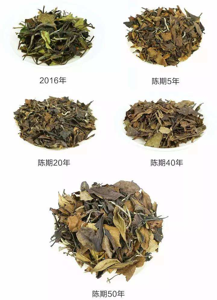 福鼎白茶种类图片