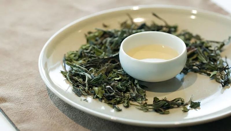 白茶有哪些品种你都知道吗？