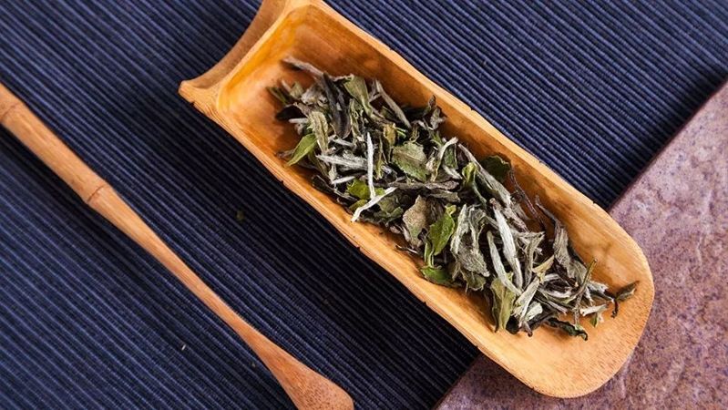 你知道白茶有哪些品种吗？