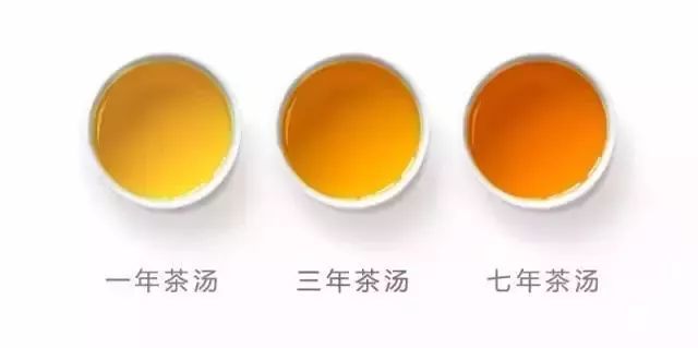 白茶应该如何存放？