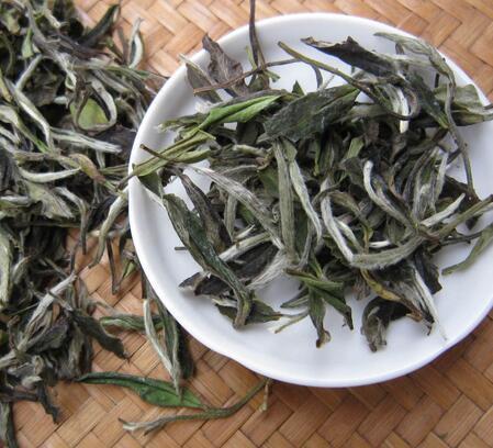 白茶的种类有哪些以及如何快速分辨白茶品种