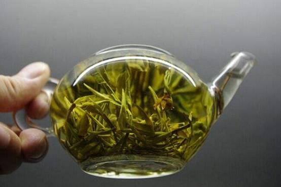 霍山黄芽属于什么茶？