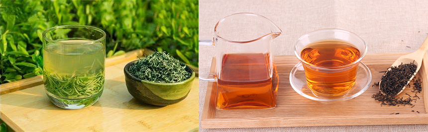 碧螺春是红茶还是绿茶？