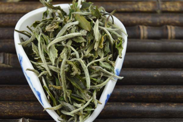 喝白茶能减肥吗？